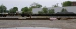 STFX 105646
